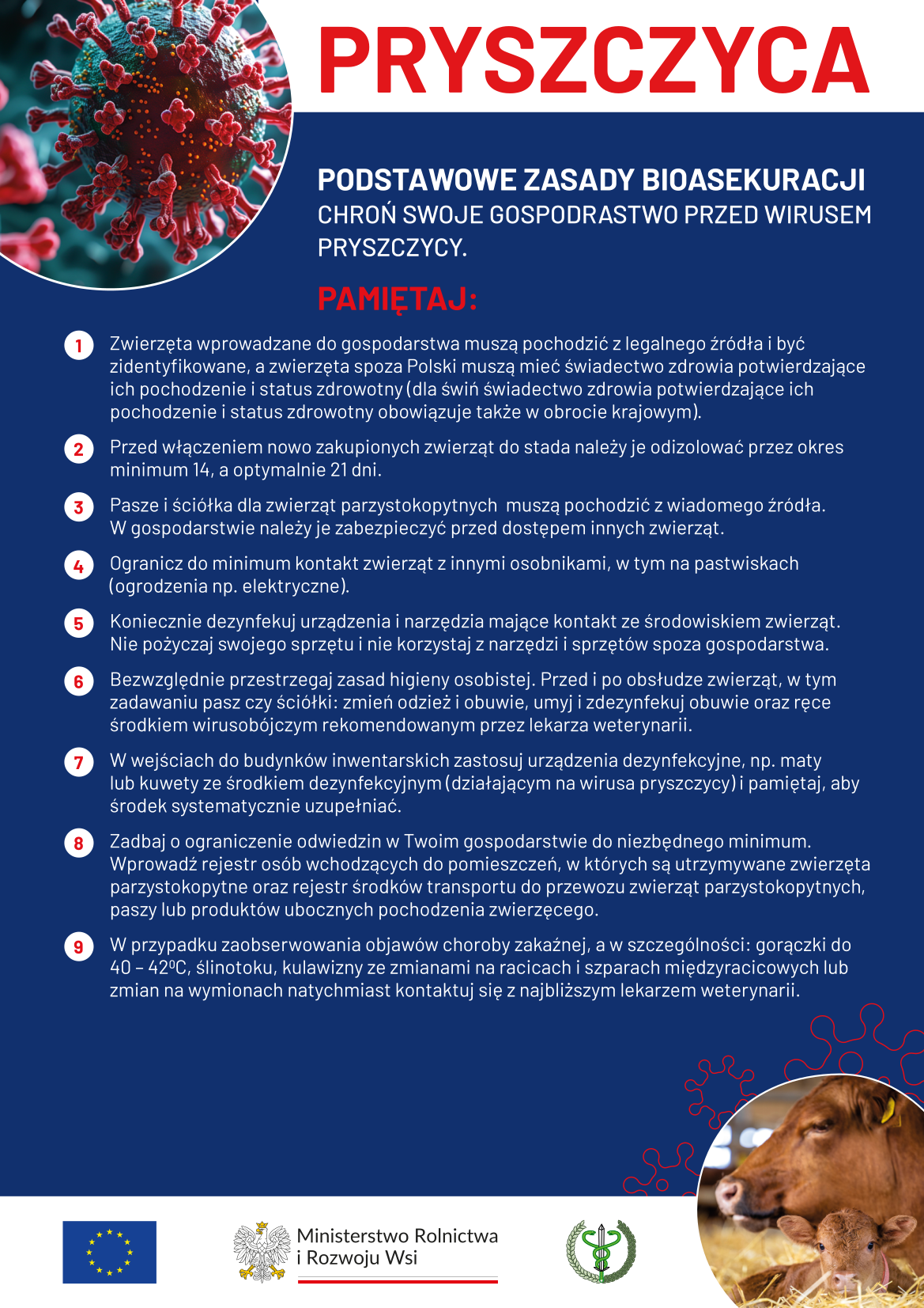 plakat_PRYSZCZYCA_A3