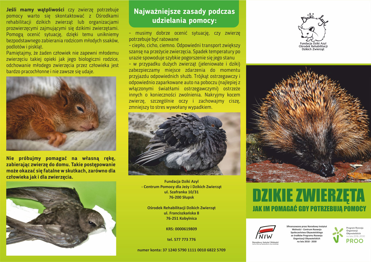 021_dzikie_zwierzeta_1