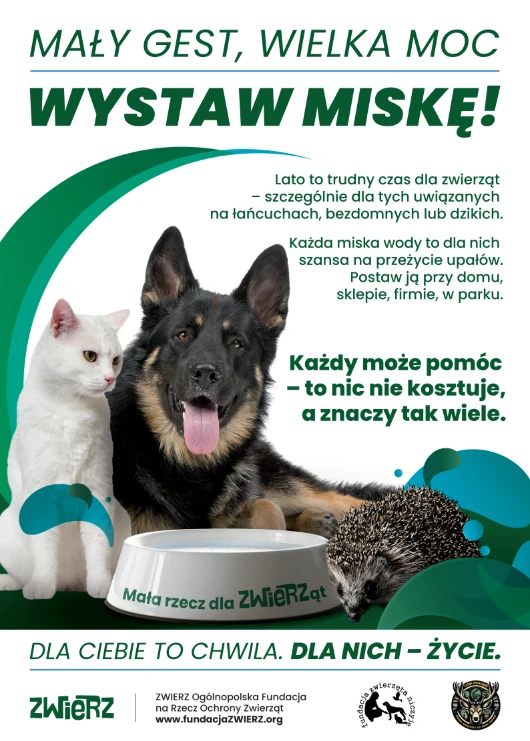 wustaw_miskę