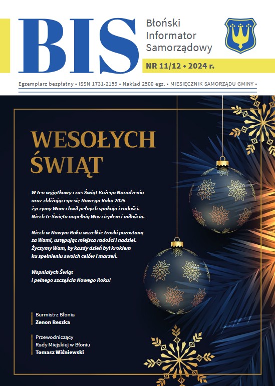 BIS_okladka11_12_2024