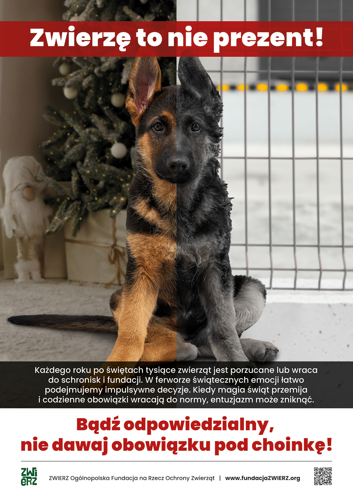 zwierze-to-nie-prezent-plakat-na-www