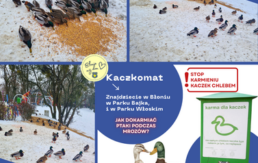 Dokarmiać ptak&oacute;w podczas mroz&oacute;w w Parku Bajka i w Parku Włoskim 4