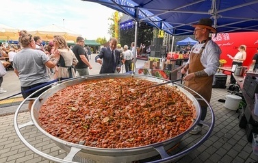 Wsp&oacute;lne Dożynkowe gotowanie  Tomaszem Kr&oacute;likowskim - 30.08.2026 15