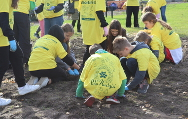 Pola Nadziei dla pacjent&oacute;w z hospicjum w Bramkach zasadzone! 11