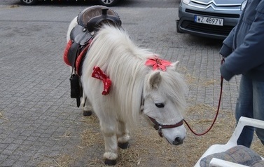 JARMARK ŚWIĄTECZNY W BłONIU - 12-14.12.2025 16