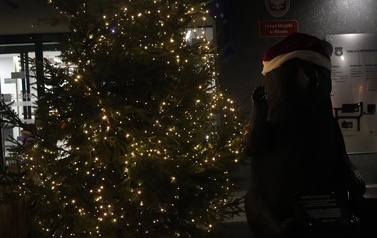 JARMARK ŚWIĄTECZNY W BłONIU - 12-14.12.2025 145