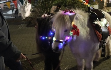 JARMARK ŚWIĄTECZNY W BłONIU - 12-14.12.2025 151