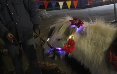 JARMARK ŚWIĄTECZNY W BłONIU - 12-14.12.2025 152