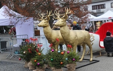 JARMARK ŚWIĄTECZNY W BłONIU - 12-14.12.2025 199