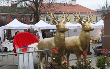 JARMARK ŚWIĄTECZNY W BłONIU - 12-14.12.2025 209