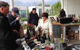 II FESTIWAL SERA I WINA "SER JEST SER" - 9-10.05.2026 124