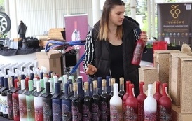 II FESTIWAL SERA I WINA "SER JEST SER" - 9-10.05.2026 128