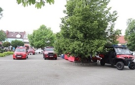 XXVI DNI BŁONIA Z DAWTONĄ - 13.06.2026 251