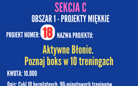Budżet Obywatelski na 2027 rok 25