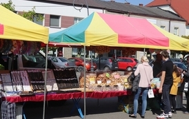 Piknik EKO-BŁONIE - 27.04.2024 87