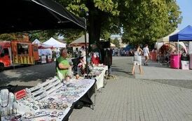 Staropolskie Dożynki w Błoniu 2024 - fotogaleria autorstwa p. Marka Frejnika 54