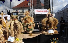 STAROPOLSKIE DOŻYNKI w BŁONIU - 31.08.2025 86