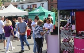 STAROPOLSKIE DOŻYNKI w BŁONIU - 31.08.2025 92