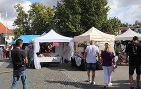 STAROPOLSKIE DOŻYNKI w BŁONIU - 31.08.2025 93