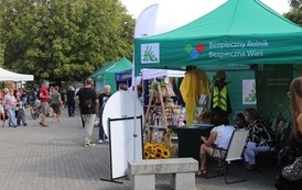 STAROPOLSKIE DOŻYNKI w BŁONIU - 31.08.2025 96