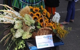 STAROPOLSKIE DOŻYNKI w BŁONIU - 31.08.2025 106