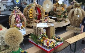 STAROPOLSKIE DOŻYNKI w BŁONIU - 31.08.2025 120