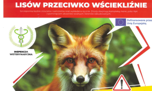 Zdjęcie do Uwaga! Szczepienie lis&oacute;w przeciwko wsciekliźnie 27 marca  - 2 kwietnia