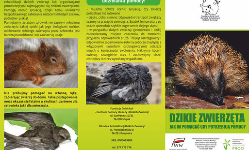 Zdjęcie do Co zrobić w przypadku znalezienia rannego, dzikiego zwierzęcia