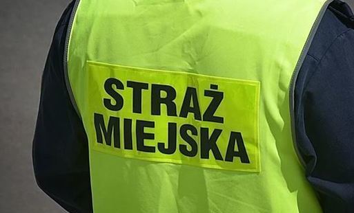 Zdjęcie do UWAGA !  Urzędnicy i Straż Miejska przeprowadzą kontrole !