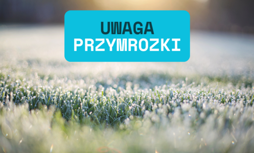 Zdjęcie do Ostrzeżenie IMGW: Przymrozki w nocy z 12 na 13 maja 