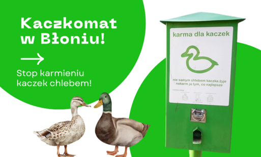 Zdjęcie do Chleb szkodzi kaczkom. W Parku Bajka stanął pierwszy "kaczkomat"