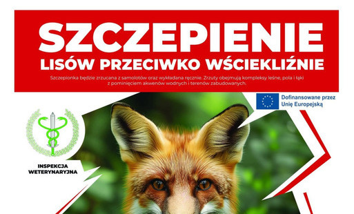 Zdjęcie do Jesienna akcja szczepienia lis&oacute;w 10-17.10.2025
