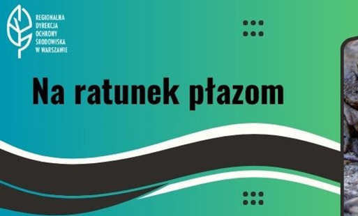 Zdjęcie do I Ty możesz zostać żabim bohaterem!