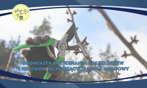 Zdjęcie do Przypominamy o obowiązku przycinania gałęzi drzew i krzew&oacute;w wchodzących w pas drogowy