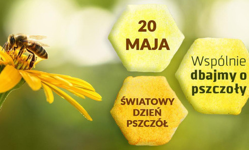 Zdjęcie do Ważne zasady stosowania środk&oacute;w ochrony roślin - chrońmy zapylacze