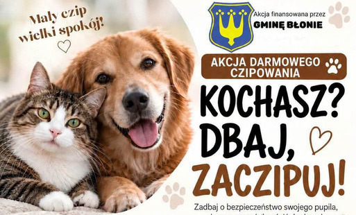 Zdjęcie do Kochasz? Dbaj, zaczipuj!&nbsp;- akcja bezpłatnego czipowania ps&oacute;w i kot&oacute;w