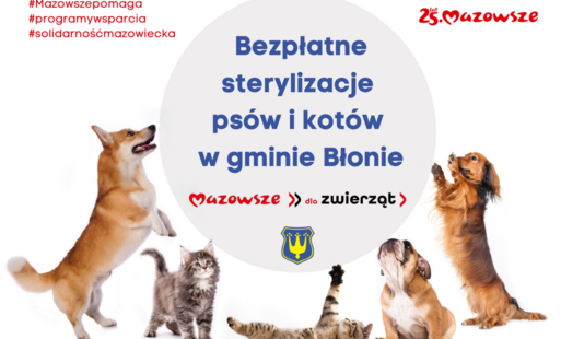 Zdjęcie do Bezpłatne sterylizacje ps&oacute;w i kot&oacute;w w gminie Błonie